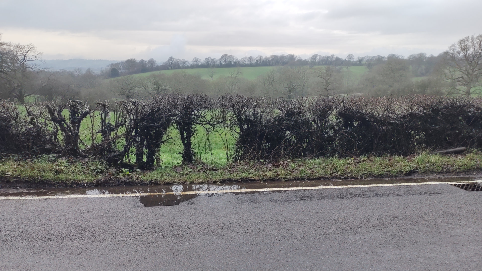 Brockhill Lane