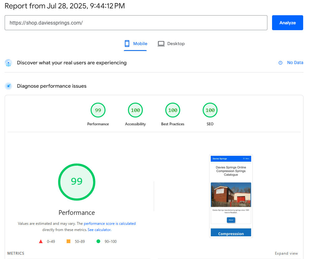 Mobile Page Speed Test